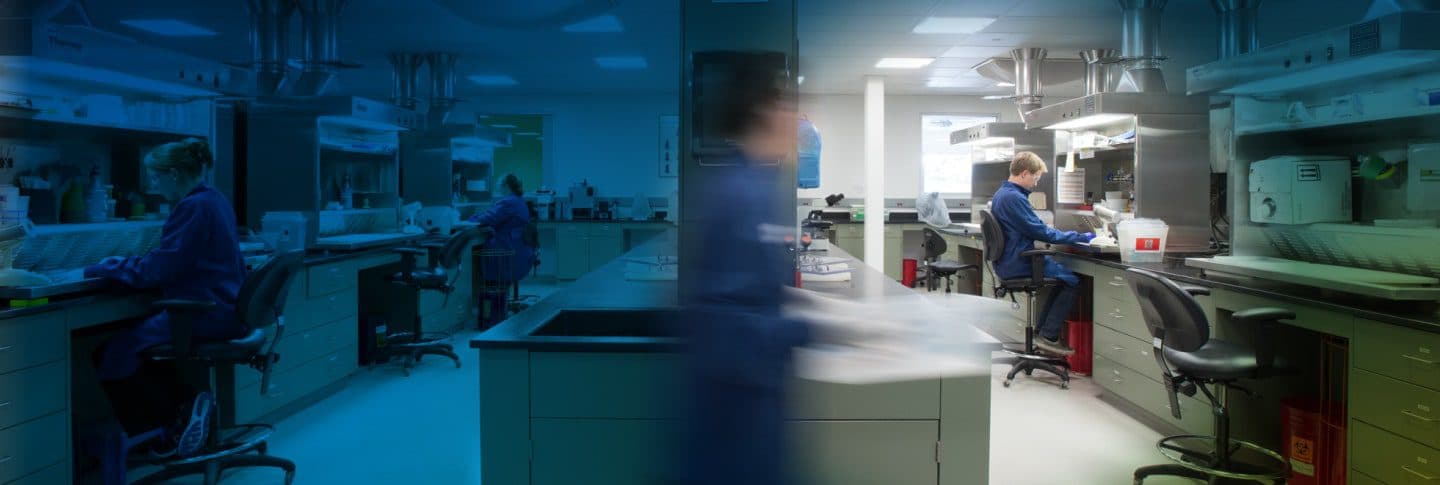 Spakto research and engineering team at work in the lab